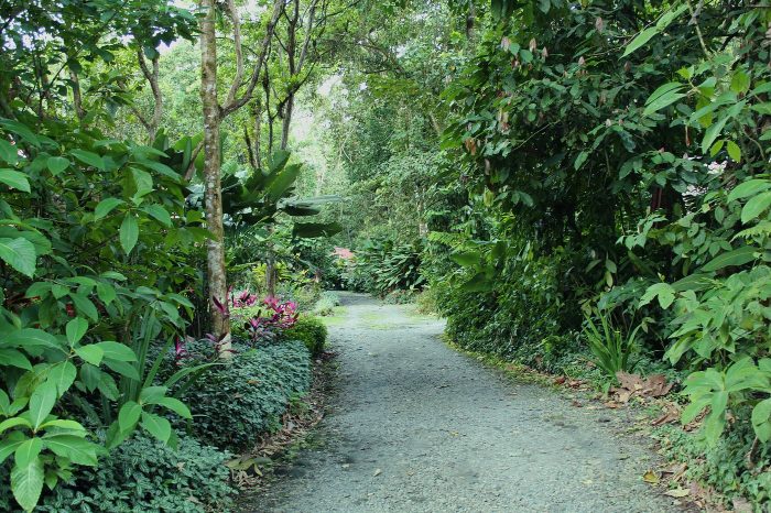 Arenal Oasis Eco Lodge & Wildlife Refuge