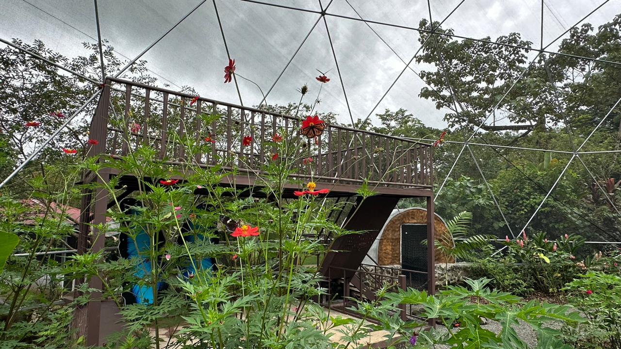 mariposario