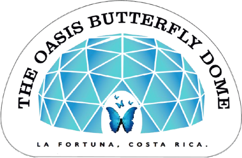 Logo butterfly garden